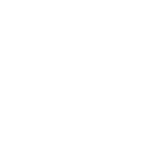 ANFFORA