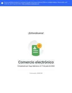 Google: Comercio Electrónico