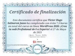 Wordpress 2020 de 0 a Experto